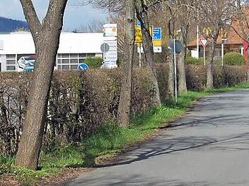 Der Weg zum Siedlersportheim und nach Vierzehnheiligen erhält den Namen "Pilgerweg".  Foto: Andreas Welz