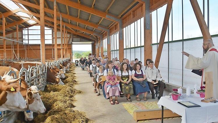 Im Laufstall mit Gästen und den Tieren: Ronja Marek feierte in Bundorf ihren Konfirmationsgottesdienst mit Pfarrer Lutz Mertten, ihren Eltern, Angehörigen und den Kühen daneben. Es war ein ungewöhnlicher Ort für einen Gottesdienst zur Konfirmation. Foto: Hanns Friedrich