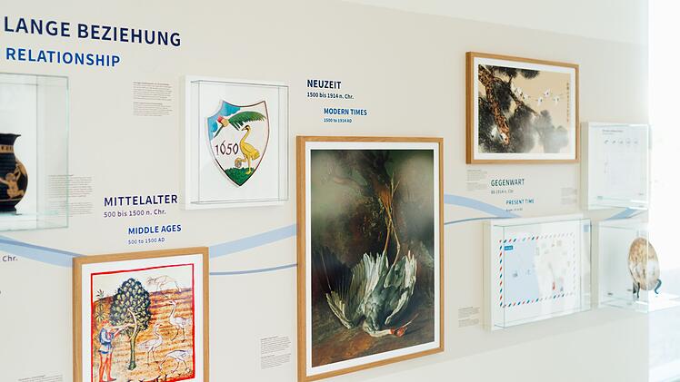 Kranichwelten in Günz: Neues Nabu-Zentrum begeistert mit interaktiven Erlebnissen