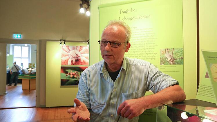 Matthias Mäuser, Leiter des Naturkundemuseums, kennt sich aus mit giftigen Tieren. Gerade findet eine Ausstellung zu Spinnen und Skorpionen im Museum statt. Foto: Barbara Herbst