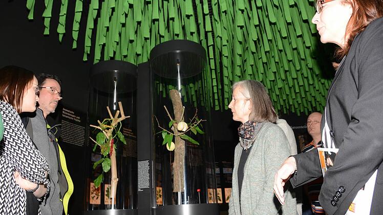 Gewürzexpertin Manuela Mahn erläuterte im Botanikum des Gewürzmuseums Besonderheiten, Herkunft und Verwendung verschiedener Gewürze.  Foto: Dagmar Besand