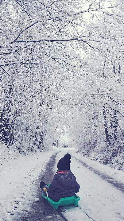 Schnee und Eis - Die schönsten Aufnahmen aus Franken