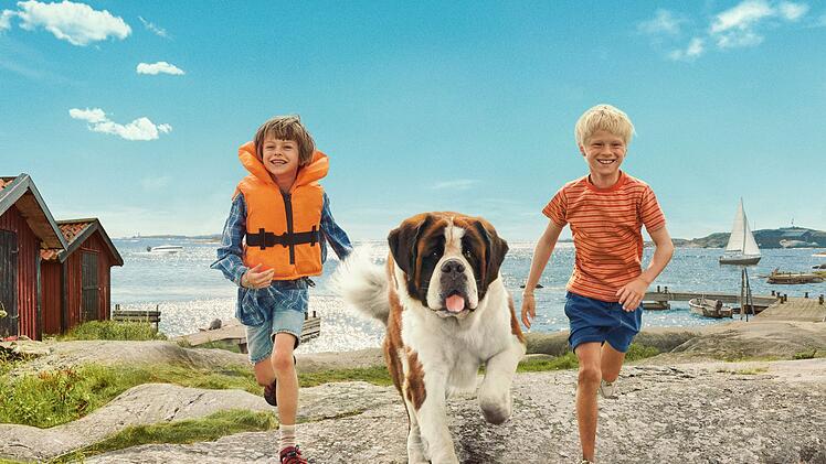 Wie der zugrundeliegende Roman von Astrid Lindgren erz&auml;hlt die neue Serie "Unsere Ferien auf Saltkrokan" von den Abenteuern, die Tjorven (Vega &Aring;hman), der Hund Bootsmann und Pelle (Elton Larsson) im Stockholmer Sch&auml;rengarten erleben.