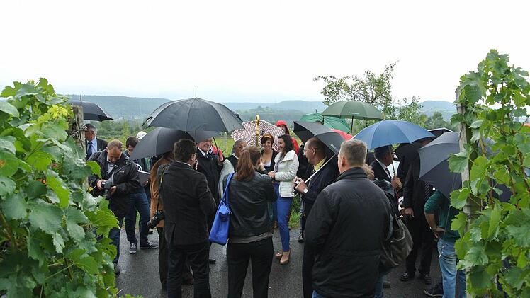 Ein Riesenpulk im Weinberg
