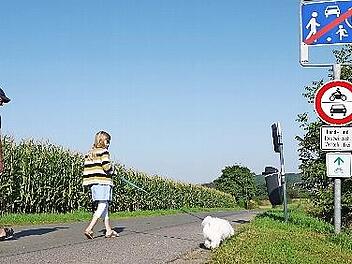 Die Frohnlacher Straße in Neuensorg: Landwirtschaftliche Fahrzeuge sollen gemäß eines Gemeinderatsbeschlusses dort weiterhin zugelassen sein.
