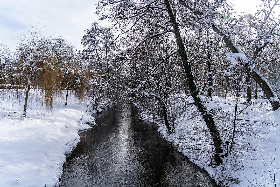 Winter in Bamberg
