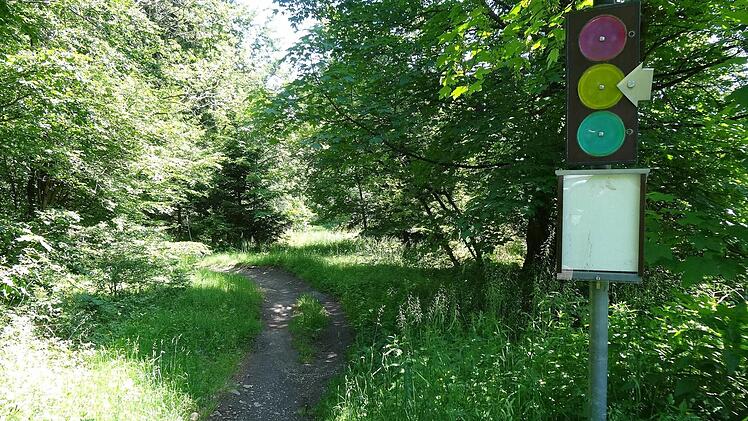 Noch steht die Ampel am Flowtrail auf gelb. Er kann jedoch vorsichtig befahren werden. Foto: Marion Eckert
