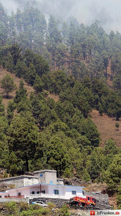Waldbrand auf der Kanarischen Insel
