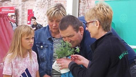 Yvonne Müller stellte den Kindern und ihren Eltern verschiedene Kräuter vor.