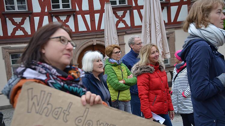 Auch durch die Bewegung "Fridays for Future" inspiriert (Foto): Die Grünen wollten, dass die Stadt Herzogenaurach den Klimanotstand ausruft. Retta Müller-Schimmel (Zweite von links) fand damit aber keine Mehrheit im Stadtrat, auch Bürgermeister German Hacker (hinten) lehnte das Ansinnen ab.     Foto: Bernhard Panzer