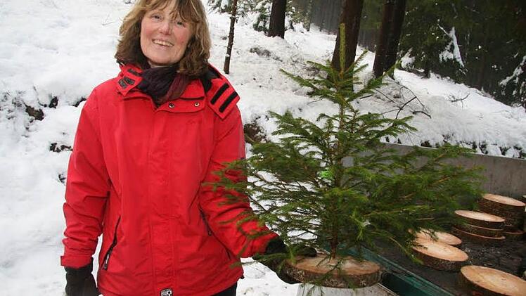 Während die Baumfäller Ausschau hielten, steckte Elisabeth Hoffmann vom Bund Naturschutz und Förster Uli Dautel kleine Bäumchen in Baumscheiben als Andenken für die Kinder
