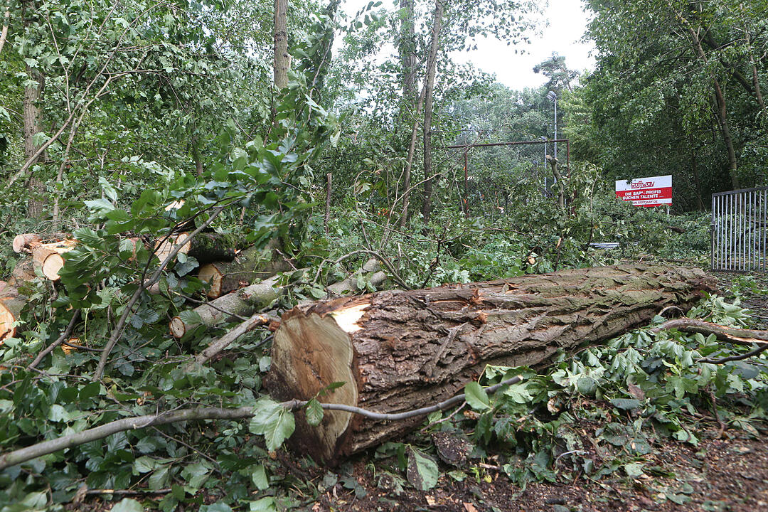 Aufraeumarbeiten in Bamberg nach schwerem Unwetter