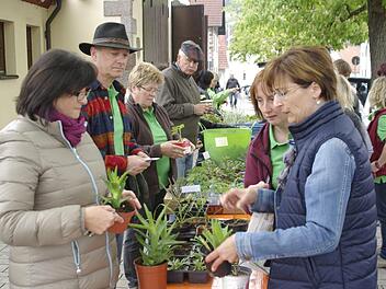 Die Pflanzentauschbörse des Obst- und Gartenbauvereins Untererthal ist eine gern angenommene Gelegenheit, neue Schmuck- und Gemüsepflanzen zu generieren und auch weiterzugeben.  Foto: Winfried Ehling