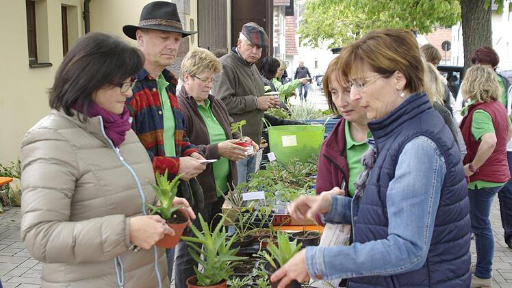 Die Pflanzentauschbörse des Obst- und Gartenbauvereins Untererthal ist eine gern angenommene Gelegenheit, neue Schmuck- und Gemüsepflanzen zu generieren und auch weiterzugeben.  Foto: Winfried Ehling