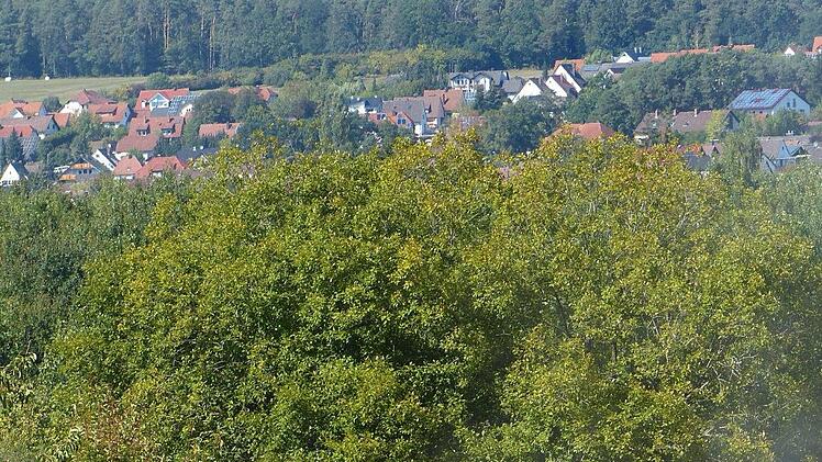 Daniel Firnkäs sät für die Bayerischen Staatsforsten Blumensamen in der Nähe des Waldkindergartens Hausen aus. Foto: Pauline Lindner
