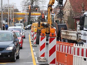 Zur Zeit ist die Baustelle der Bayernwerk AG in der Bamberger Straße eine Belastungsprobe. Stroch, Drache und Ameisen sind weiter bei der Suche der Stadt nach einem Baustellen-Maskottchen. Fotos: Christian Bauriedel
