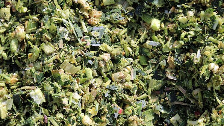 So sehen die frischgeernteten Mais-Häcksel vor der Silierung aus. Foto: Bettina Knauth