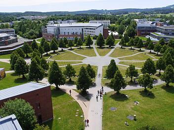Bayreuth: Bund fördert Uni-Projekt - für geschlechtersensible Forschung