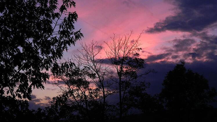 Userfoto: Petra Götz