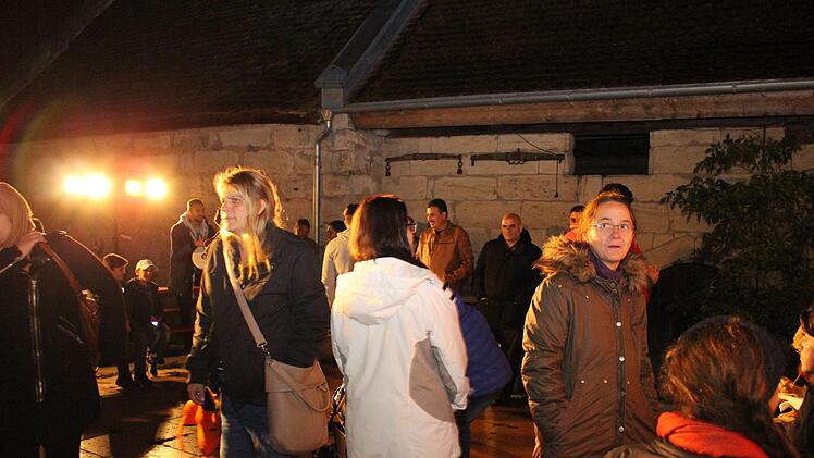 Eindrücke von der  ersten "Nacht der Kulturen" in Höchstadt.  Foto: Evi Seeger