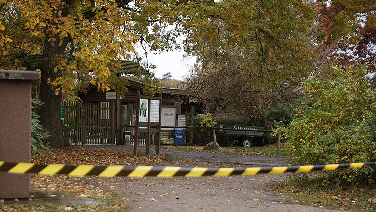 Wolf soll Kind im Wildpark Johannism&uuml;hle angegriffen haben