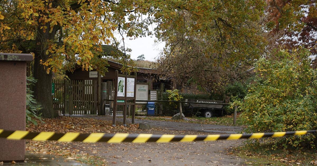 Photo: infranken.de Wolf Attacks Eight-Year-Old Girl at Johannismühle Wildlife Park