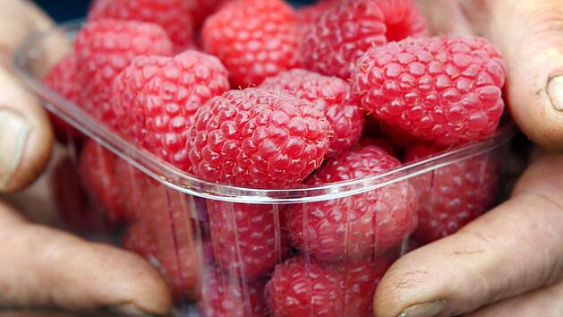 Herbsttragende Himbeersorten enthalten viel Vitamin C, aber auch Äpfel. Foto: dpa