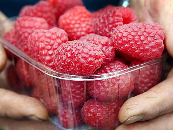 Herbsttragende Himbeersorten enthalten viel Vitamin C, aber auch Äpfel. Foto: dpa