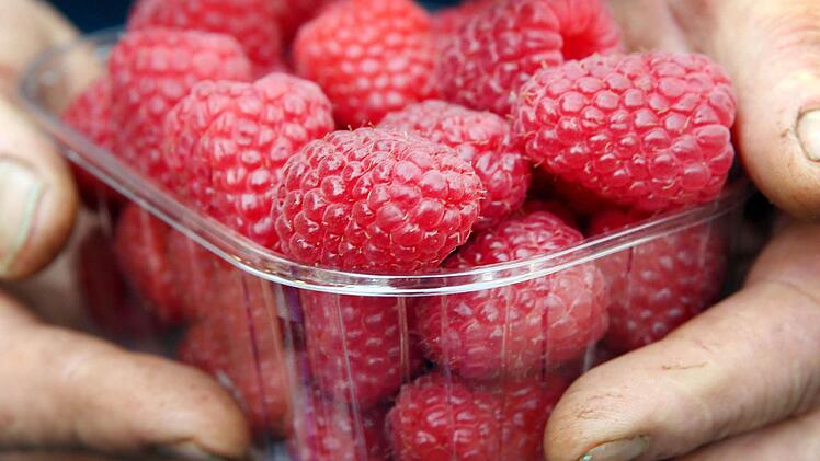 Herbsttragende Himbeersorten enthalten viel Vitamin C, aber auch Äpfel. Foto: dpa