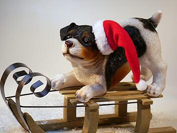 Accessoires rund um den Hund, eine Tiersegnung und ein Auftritt von "Santa Bello": Das uns vieles mehr bietet der 2. Hundeweihnachtsmarkt in Ha&szlig;furt am 8. Dezember.