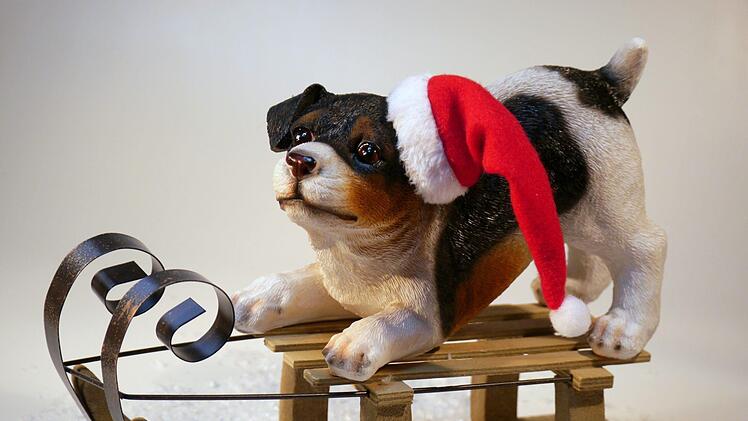 Accessoires rund um den Hund, eine Tiersegnung und ein Auftritt von "Santa Bello": Das uns vieles mehr bietet der 2. Hundeweihnachtsmarkt in Ha&szlig;furt am 8. Dezember.