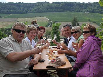 Weingenuss in einer herrlichen Landschaft: Das zieht diese Gruppe aus Herzogenaurach zum Weinwandertag in Castell. Foto: Zapf