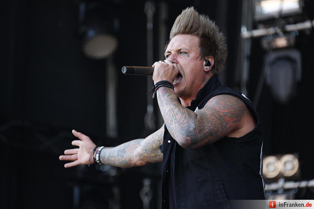 RIP15 - Papa Roach