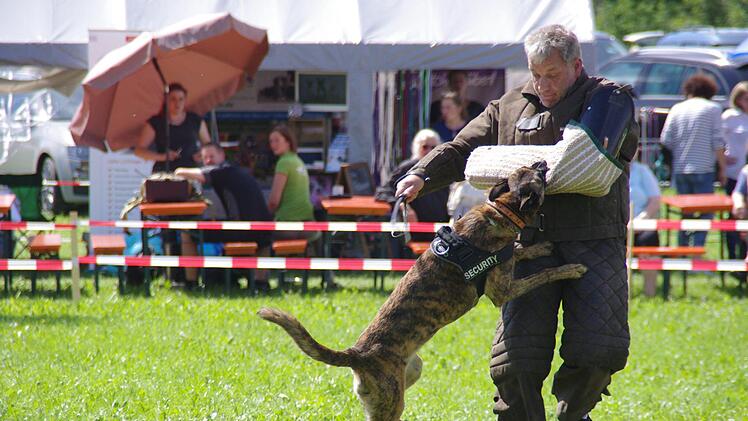 Tierheimfest in Kronach. Foto: Marco Meißner