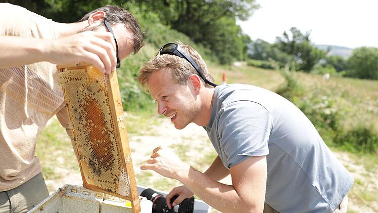 Das ist durchaus eine komplizierte Aufgabe f&uuml;r Bertie Gregory: Wie bringt man das Leben der kleinen Bienen auf die Leinwand?