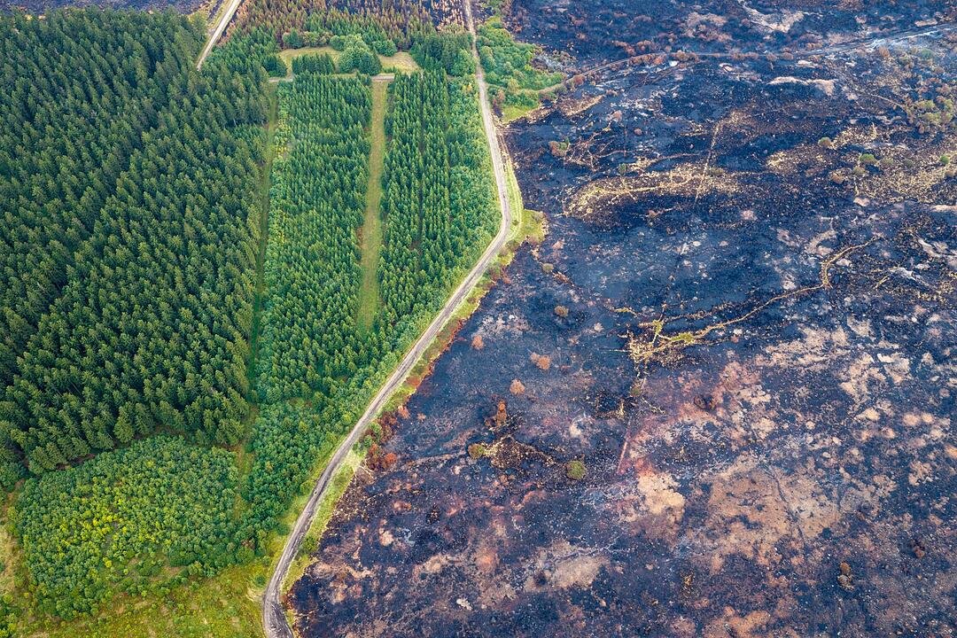 Waldbrand im Hohen Venn