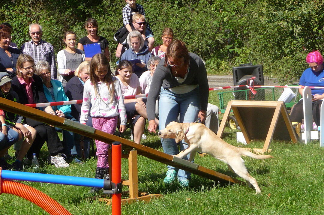 19.8.2017 Tierheimfest Kulmbach