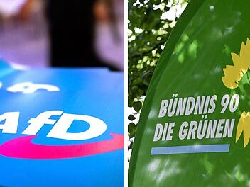 Erlangen: Weil AfD-Kandidat gelogen hat - Stadtratssitz geht an Gr&uuml;ne