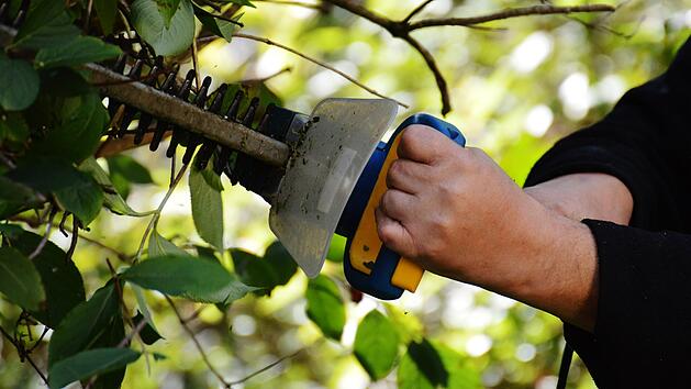 Grillen, Gartenarbeit, Lärmbelästigung: Welche Regeln gelten im heimischen Garten?