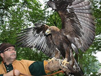 Wenn Steinadler Aslan die Flügel ausbreitet und seinen stechenden Blick auf einen richtet, möchte man keinesfalls ein Hase oder eine Maus sein...  Fotos: Diana Fuchs