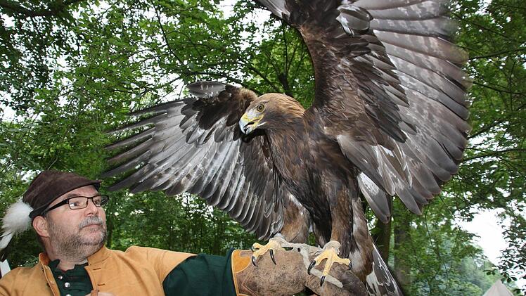 Wenn Steinadler Aslan die Flügel ausbreitet und seinen stechenden Blick auf einen richtet, möchte man keinesfalls ein Hase oder eine Maus sein...  Fotos: Diana Fuchs