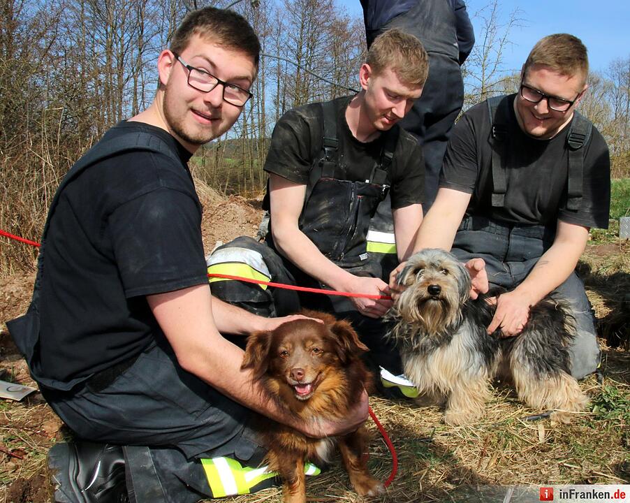 Hunderettung in Seßlach