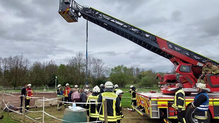 Nürnberger Land: Feuerwehr rettet Pferd aus Traktorreifen - "konnte sich nicht befreien"