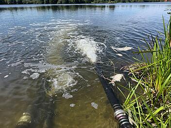 Kulmbacher Kiesw&auml;sch: Nach pl&ouml;tzlichem Fischsterben - so ist die aktuelle Lage
