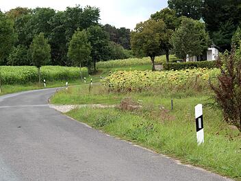 Ein Gehweg entlang der Straße zum Friedhof in Oberreichenbach wurde abgelehnt.  Richard Sänger