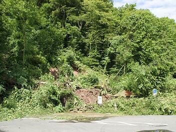 Nach starken Regenfällen gab es im Mai vergangenen Jahres bei Dippach einen massiven Hangrutsch. Bäume und Erde begruben den Maintalradweg und die Straße unter sich. Mit waldbaulichen Mitteln soll solchen Zwischenfällen künftig vorgebeugt werden. Fotos: Sabine Weinbeer