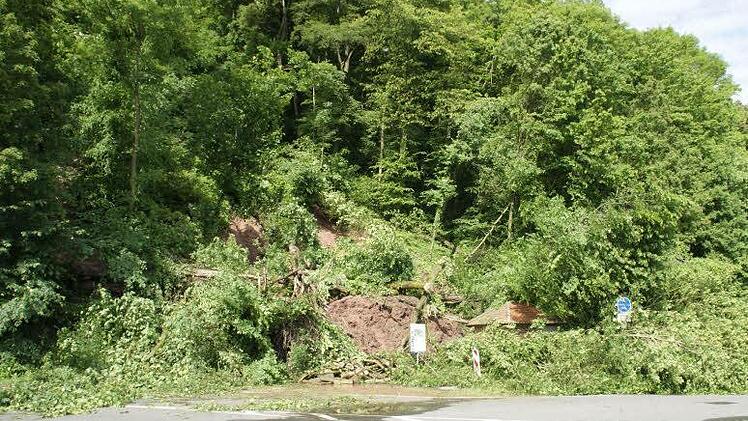 Nach starken Regenfällen gab es im Mai vergangenen Jahres bei Dippach einen massiven Hangrutsch. Bäume und Erde begruben den Maintalradweg und die Straße unter sich. Mit waldbaulichen Mitteln soll solchen Zwischenfällen künftig vorgebeugt werden. Fotos: Sabine Weinbeer