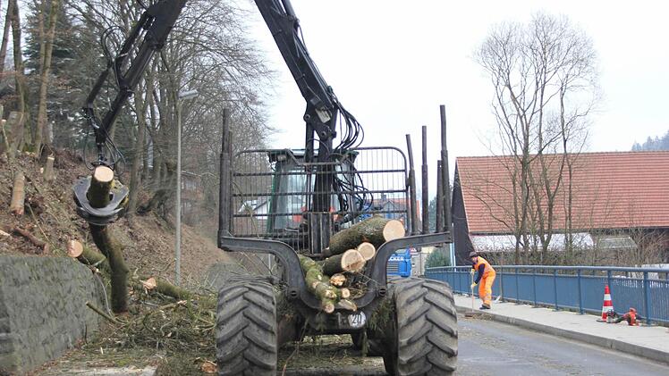 Die Stämme wurden in kurze Stücke geschnitten und verladen. Foto: Friedwald Schedel