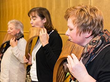 Proben vor dem großen Auftritt: Etwa einmal in der Woche trifft sich das Ensemble. Foto: Björn Hein