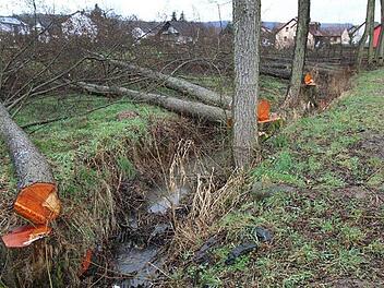 Ganze Arbeit geleistet hatte die Gemeinde bei der Fällaktion am Hautenbach. Foto: Adelheid Waschka